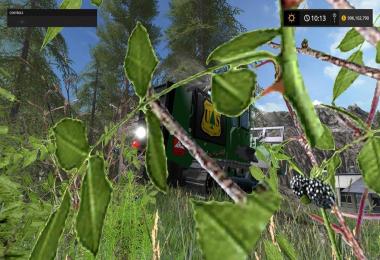 Broyeur Forestier Edit Rambow145