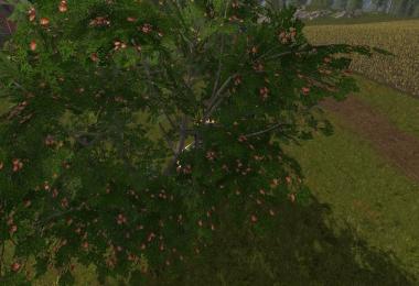 Placeable Fruit Trees v1.0.0.0