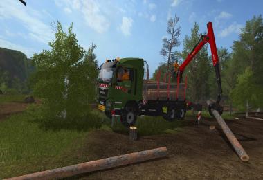 Man TGS 41480 6x4 Palfinger Grumier v1.0