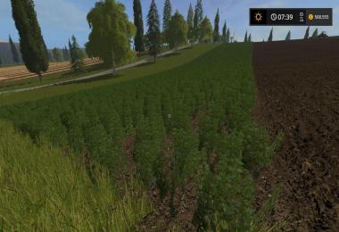 Beaver Creek V1C Seasons by Stevie