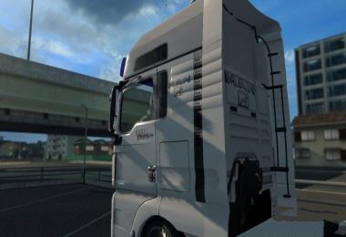 EfficientLine v1.0 Skin for MAN E6 MADster