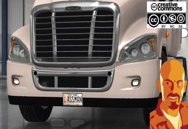 FREIGHTLINER CASCADIA CUSTOM PLATE ADDON 1.28 - 1.29 - 1.30.x