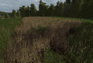 Lupine texture v1.0