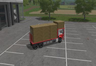 MAN TGS Bale Transport v1.0.0.0