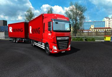 Daf XF Euro6 Truck BDF tandem and Reining skin v1.0