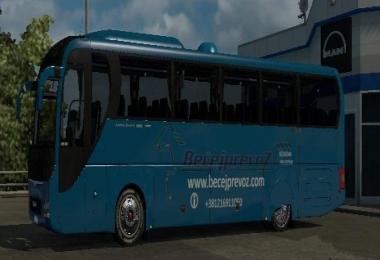 Man Lions Coach Skin Package SRB-HUN-EUR 1.30.x