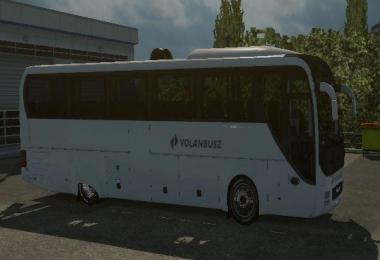 Man Lions Coach Skin Package SRB-HUN-EUR 1.30.x