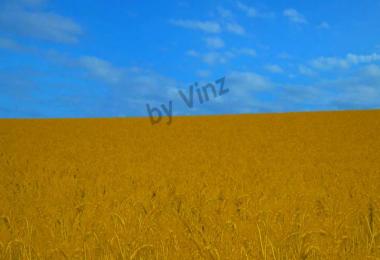 Photo Realistic Graphic Mod v1.0