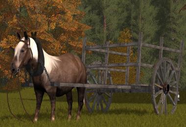 Rideable Pony v1.0.0.0