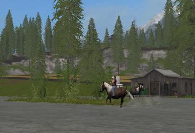 Rideable Pony v1.0.0.0