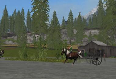 Rideable Pony v1.0.0.0