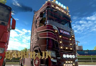 Scania S 2016 SCS Vogel custom skin 1.30