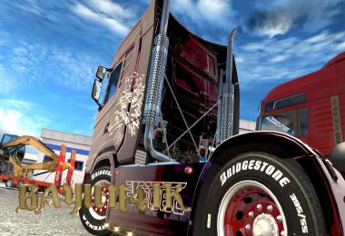 Scania S 2016 SCS Vogel custom skin 1.30