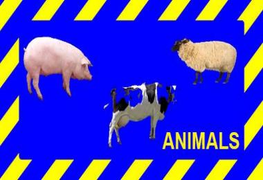 Boards v1.0 from Vaszics