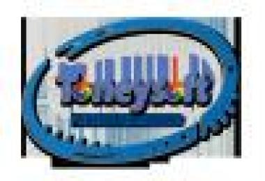 B12BTX Bus Passenger mods Hanif Bus skin BD v1.0