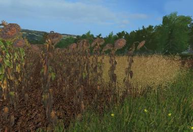 Forgotten Plants - Textureset (Prefab) v1.1.0.0