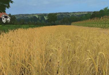 Forgotten Plants - Textureset (Prefab) v1.1.0.0