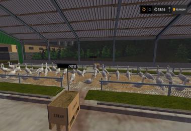 New City from Vaszics Hotfix1 v1.1