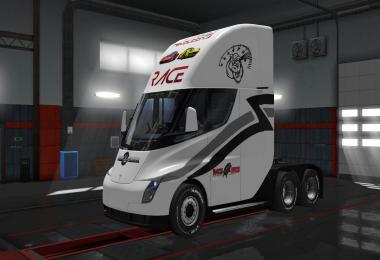 Tesla 2019 Race & Face skin 1.31
