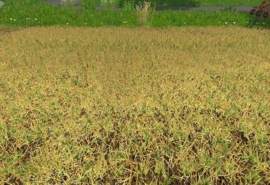 Texture ChoppedStraw v5.0