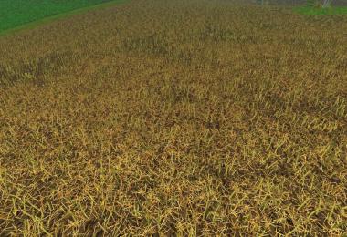 Texture ChoppedStraw v5.0