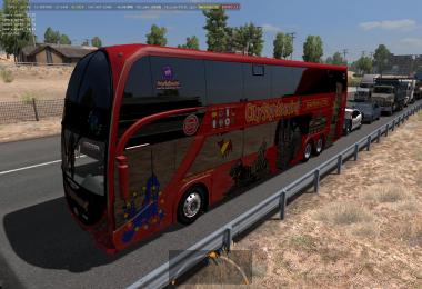 Buses of Argentine companies in traffic v1.0