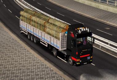 Dealer fix for MAN TGA v1.5 1.31