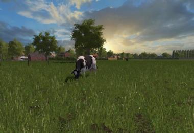 Hollandscheveld Map v1.0