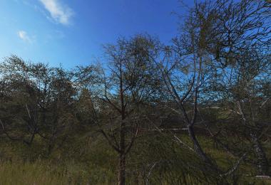 New winter tree textures v1.0.0.0
