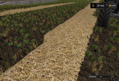 Real Straw Texture v1.0
