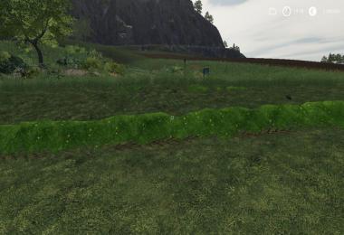 LS19 Grass Schwad Texture v1.0