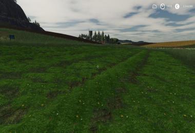 LS19 Grass Schwad Texture v1.0