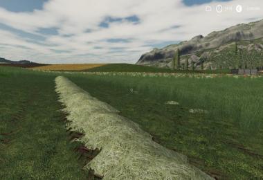 LS19 Grass Schwad Texture v1.0