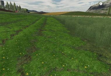 LS19 Grass Schwad Texture v1.0