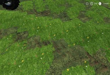 LS19 Grass Schwad Texture v1.0