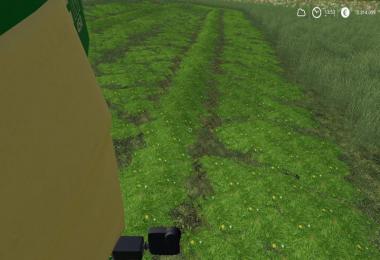 LS19 Grass Schwad Texture v1.0