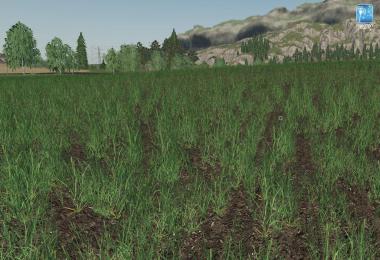 Forgotten Plants - Wheat / Barley v1.0