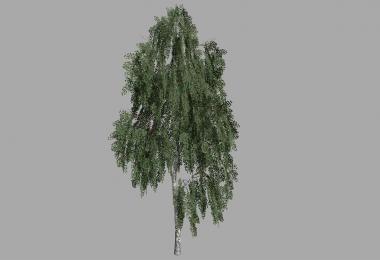 Birch Tree Prefab (Prefab) V1.0.0.0