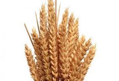 Double Yield v1.0.0.0