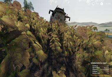 ETA Gaming Simulator v1.0