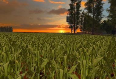 FAZENDA BAHIA POTRICH FS17 v1.0