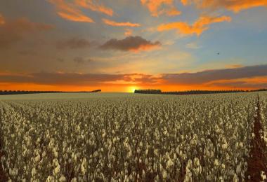 FAZENDA BAHIA POTRICH FS17 v1.0