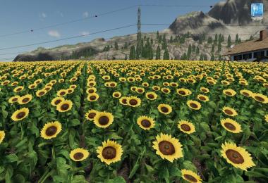 Forgotten Plants - Sunflower/Canola v1.0