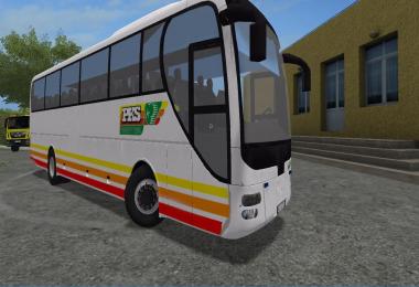 Man Lions, PKS Gorzow Wlkp v2.0