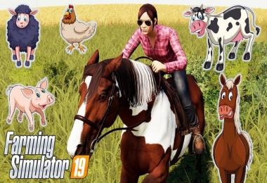 Pinto, whose name is Petunia v1.0