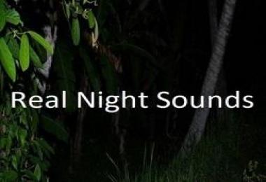 Real Night Sounds v1.0