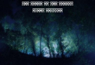 The Sound of the Forest (Night Edition) v1.0.0.0