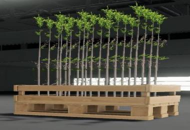 Tree saplings v1.0.0.0