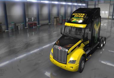 Western Union Skin Pack 1.32.x