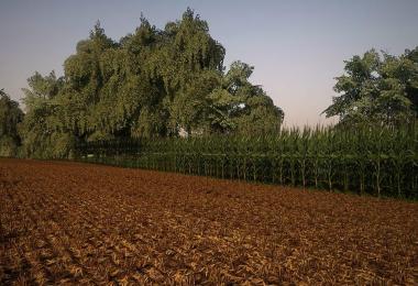 Corn and Soybean textures v1.0